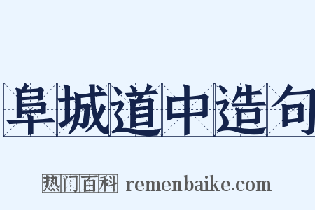 阜城道中造句是什么意思的图片